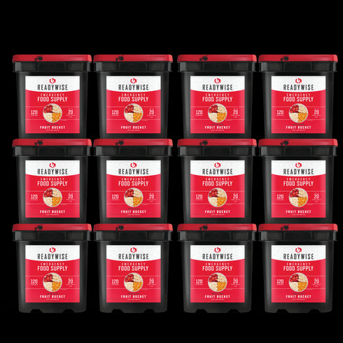 Readywise 1440 Serving Freeze Dried Fruits